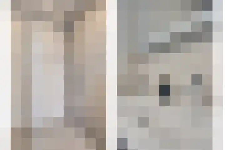 Leliestraat 9 Grubbenvorst thumbnail 33