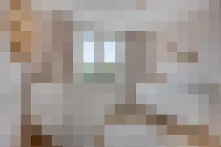 Leliestraat 9 Grubbenvorst thumbnail 35