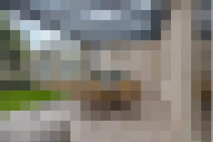 Leliestraat 9 Grubbenvorst thumbnail 39