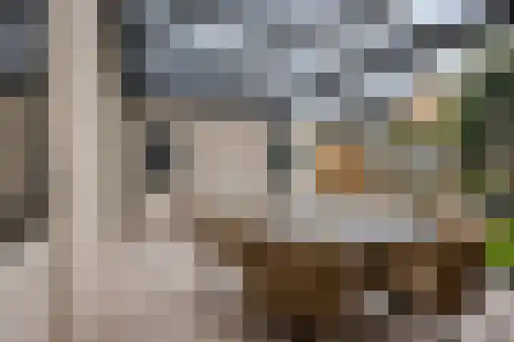 Leliestraat 9 Grubbenvorst thumbnail 40