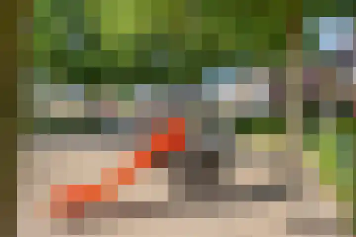 Leliestraat 9 Grubbenvorst thumbnail 44