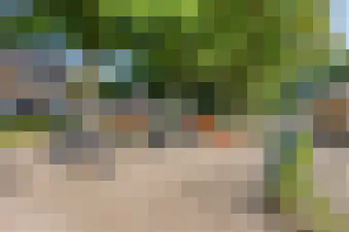 Leliestraat 9 Grubbenvorst thumbnail 45