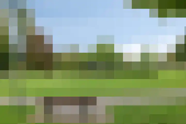 Leliestraat 9 Grubbenvorst thumbnail 46