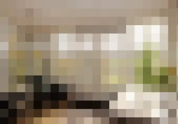Leliestraat 9 Heesch thumbnail 21