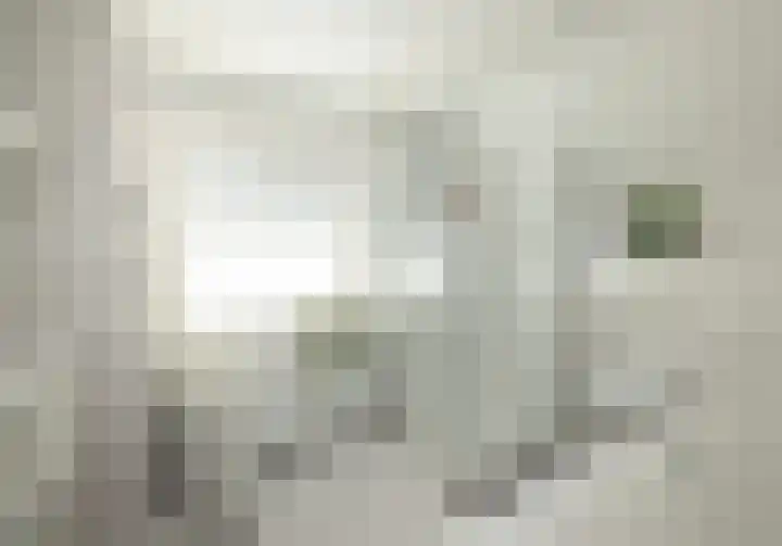 Leliestraat 9 Heesch thumbnail 25