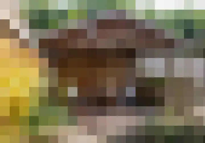 Leliestraat 9 Heesch thumbnail 32