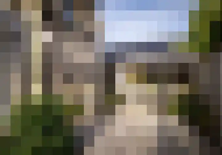Leliestraat 9 Heesch thumbnail 33