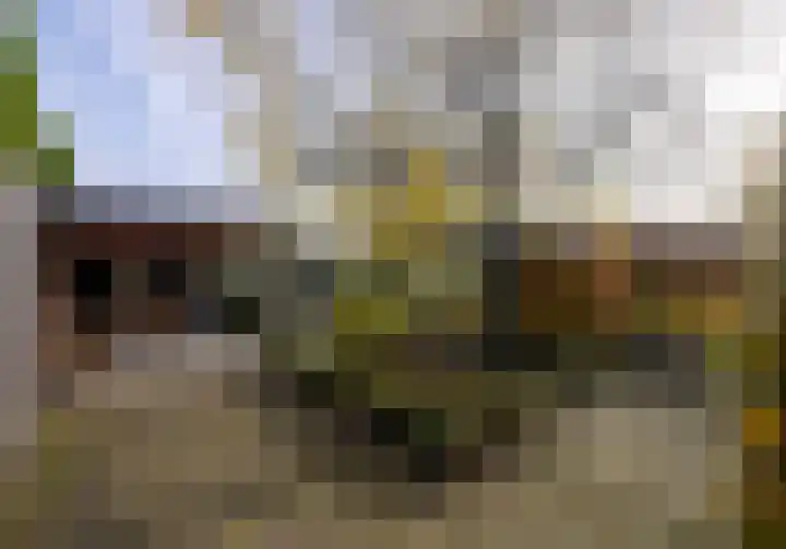Leliestraat 9 Heesch thumbnail 36