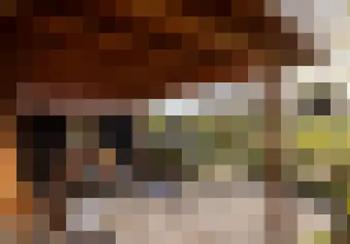 Leliestraat 9 Heesch thumbnail 37