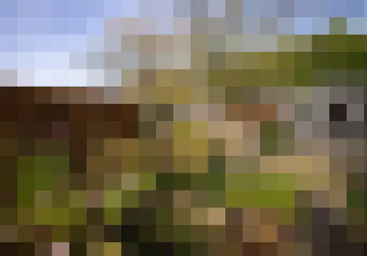 Leliestraat 9 Heesch thumbnail 38