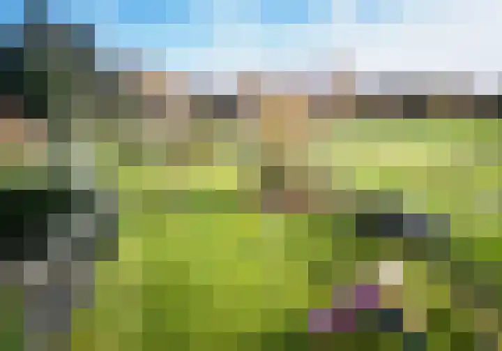 Leliestraat 9 Heesch thumbnail 40