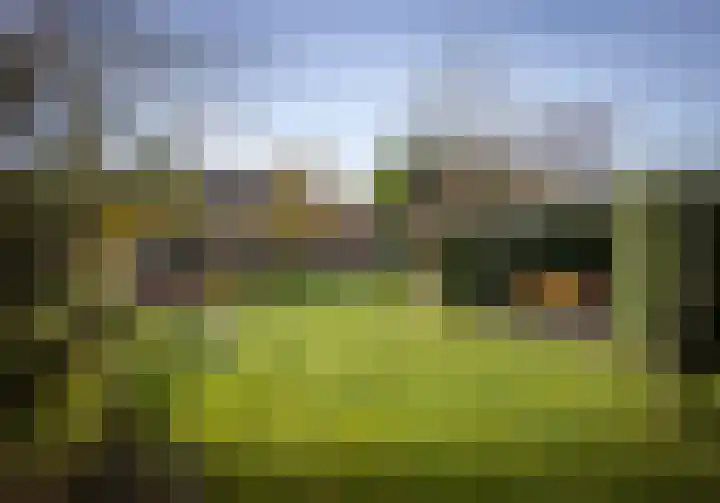 Leliestraat 9 Heesch thumbnail 42
