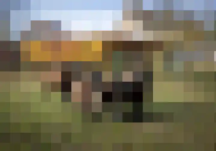 Leliestraat 9 Heesch thumbnail 43