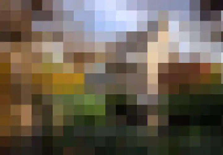 Leliestraat 9 Heesch thumbnail 6