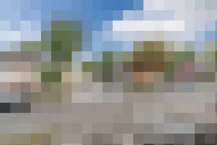 Leliestraat 96 Beek en Donk thumbnail 29