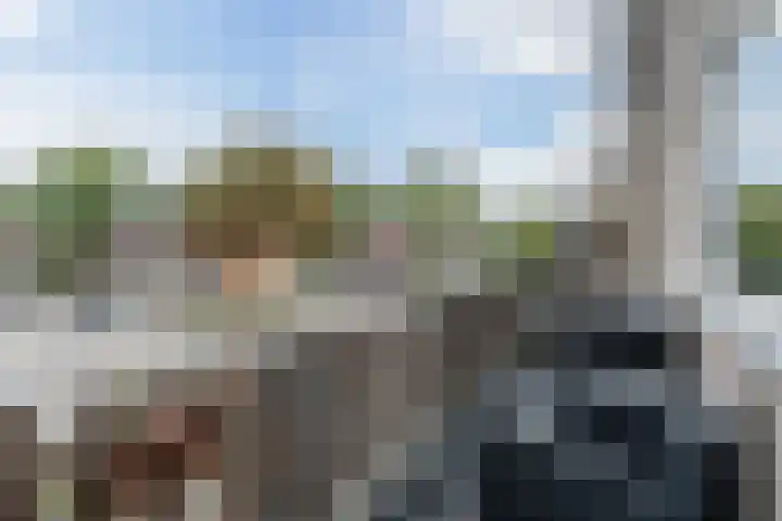 Leliestraat 96 Beek en Donk thumbnail 30