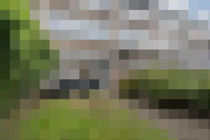 Leliestraat 96 Beek en Donk thumbnail 31