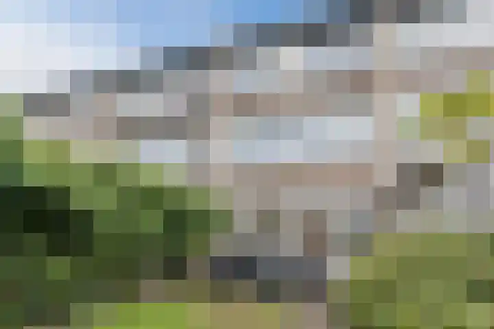 Leliestraat 96 Beek en Donk thumbnail 32