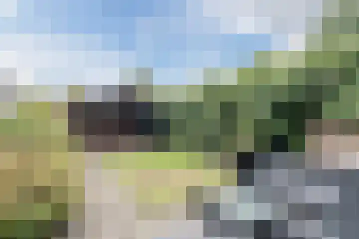 Leliestraat 96 Beek en Donk thumbnail 33
