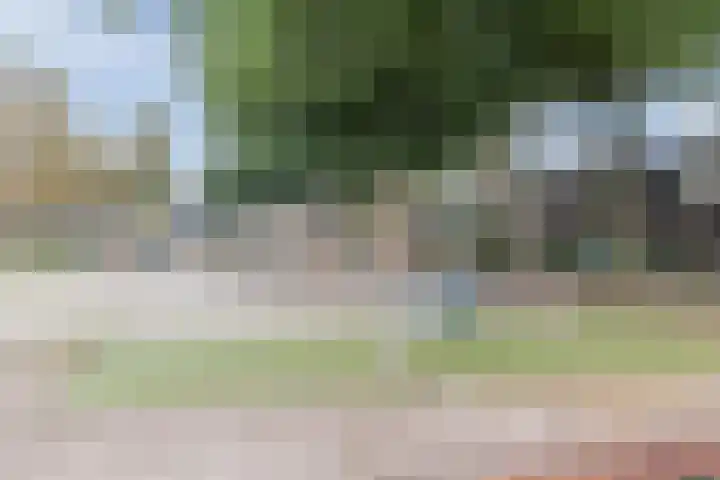 Leliestraat 96 Beek en Donk thumbnail 34