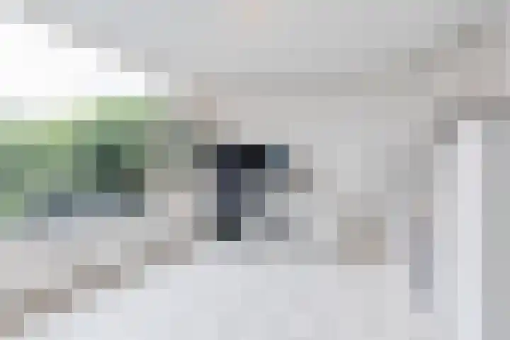 Leliestraat 96 Beek en Donk thumbnail 7