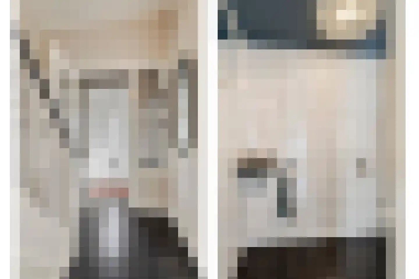 Leliestraat 99 Goes thumbnail 10