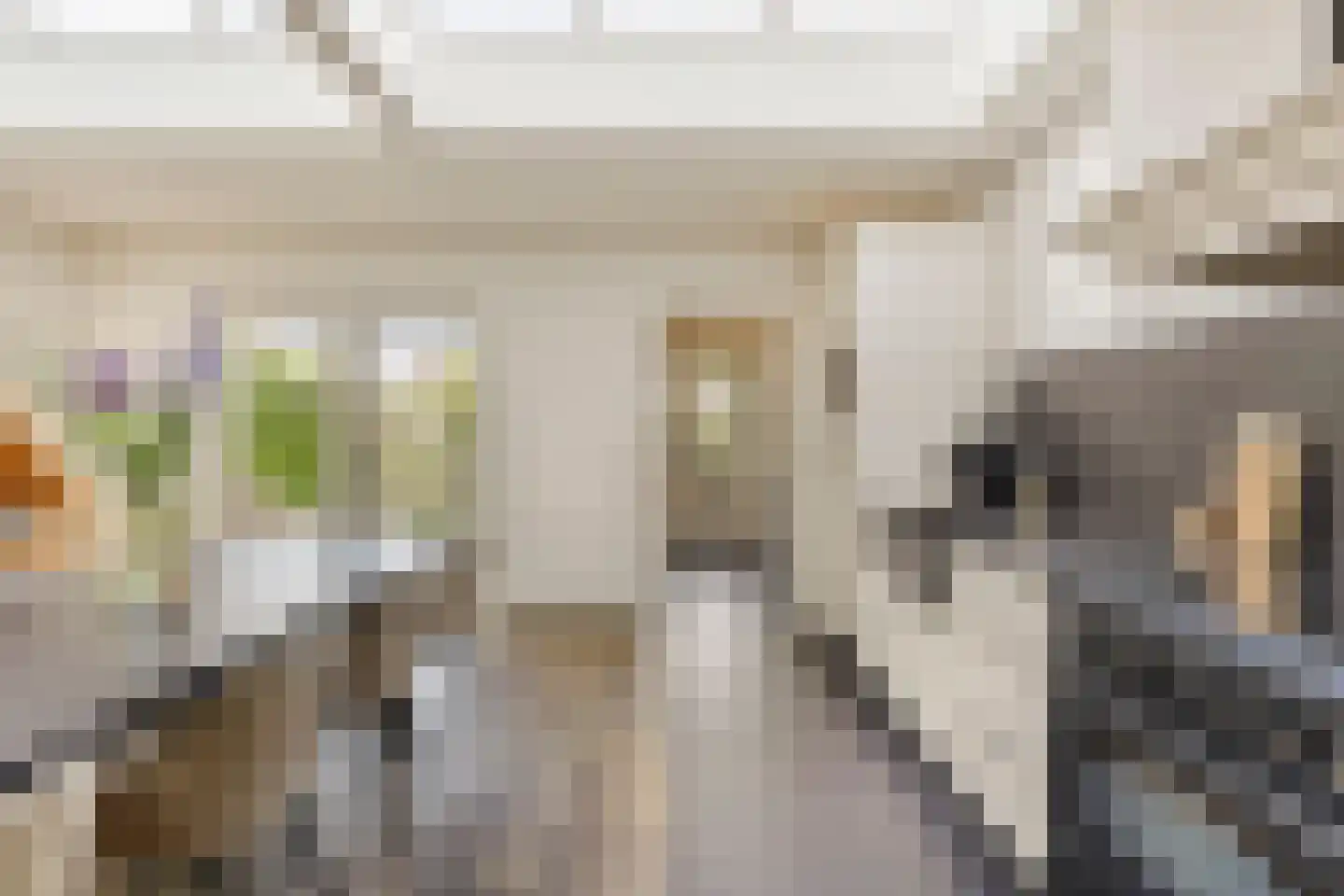 Leliestraat 99 Goes thumbnail 19