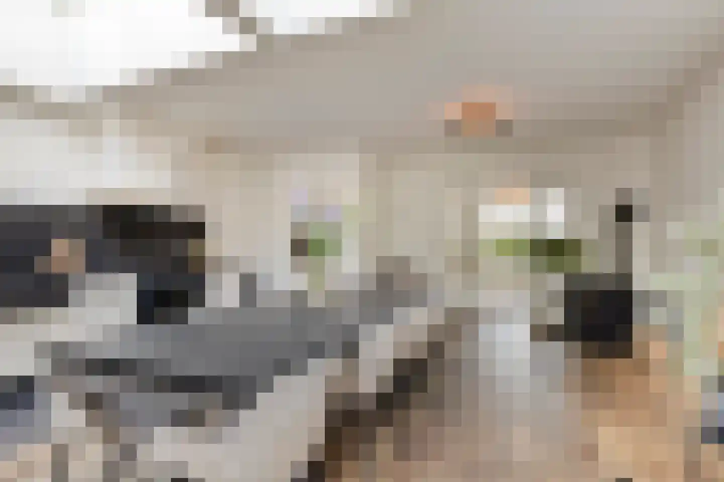 Leliestraat 99 Goes thumbnail 21