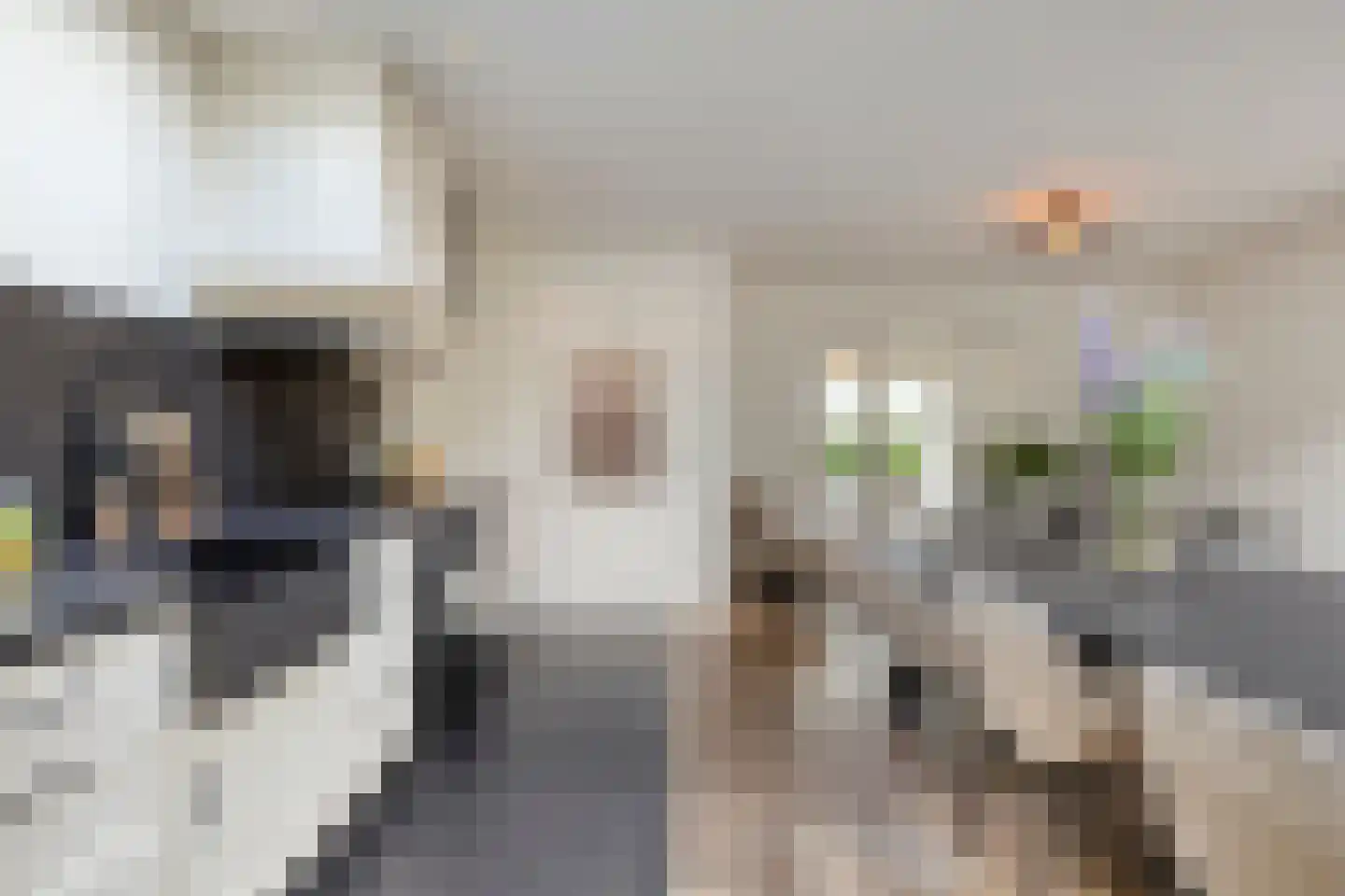 Leliestraat 99 Goes thumbnail 23