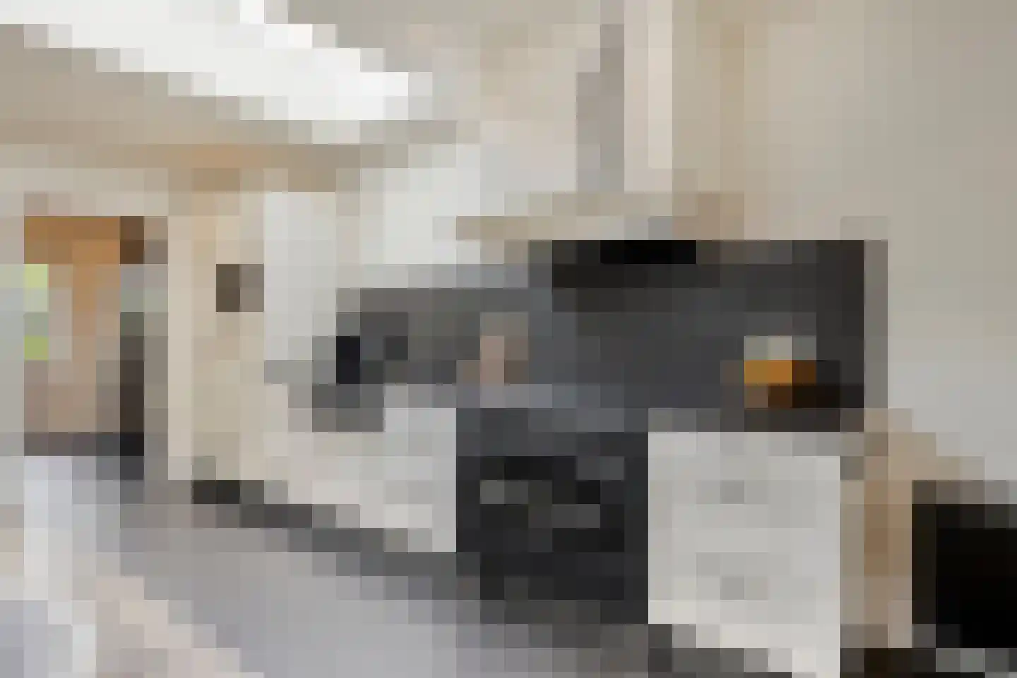 Leliestraat 99 Goes thumbnail 24