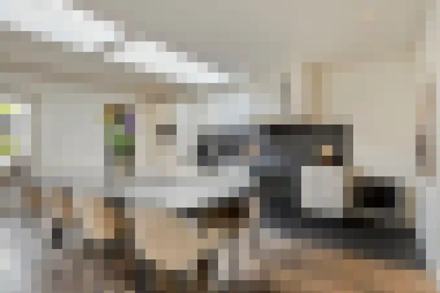 Leliestraat 99 Goes thumbnail 25