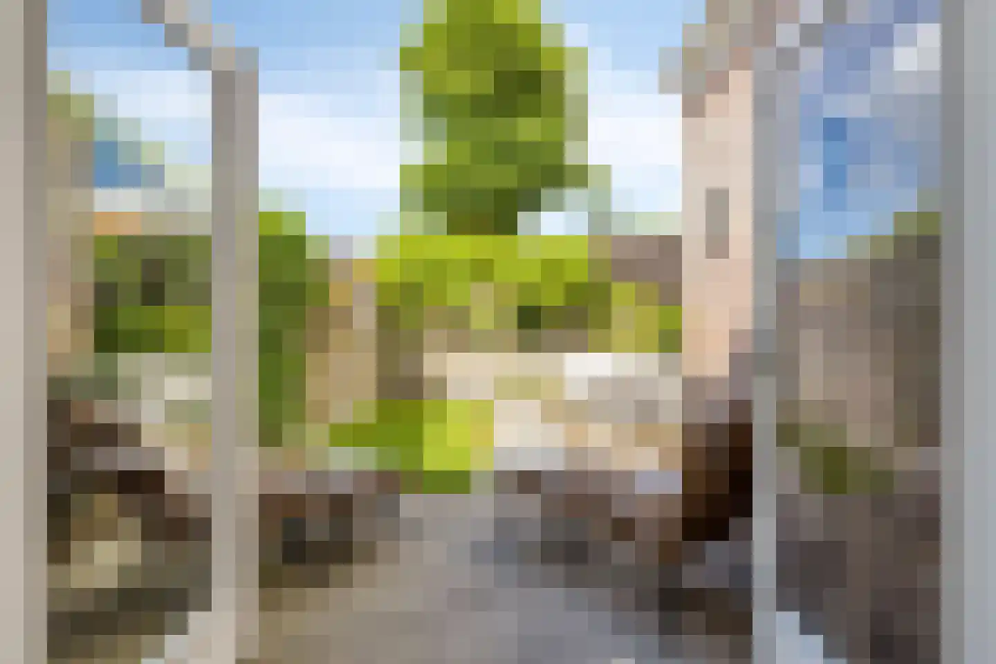 Leliestraat 99 Goes thumbnail 26