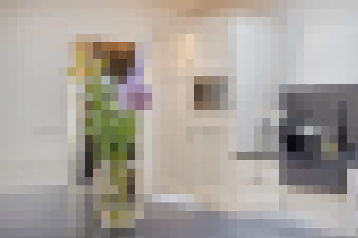 Leliestraat 99 Goes thumbnail 28
