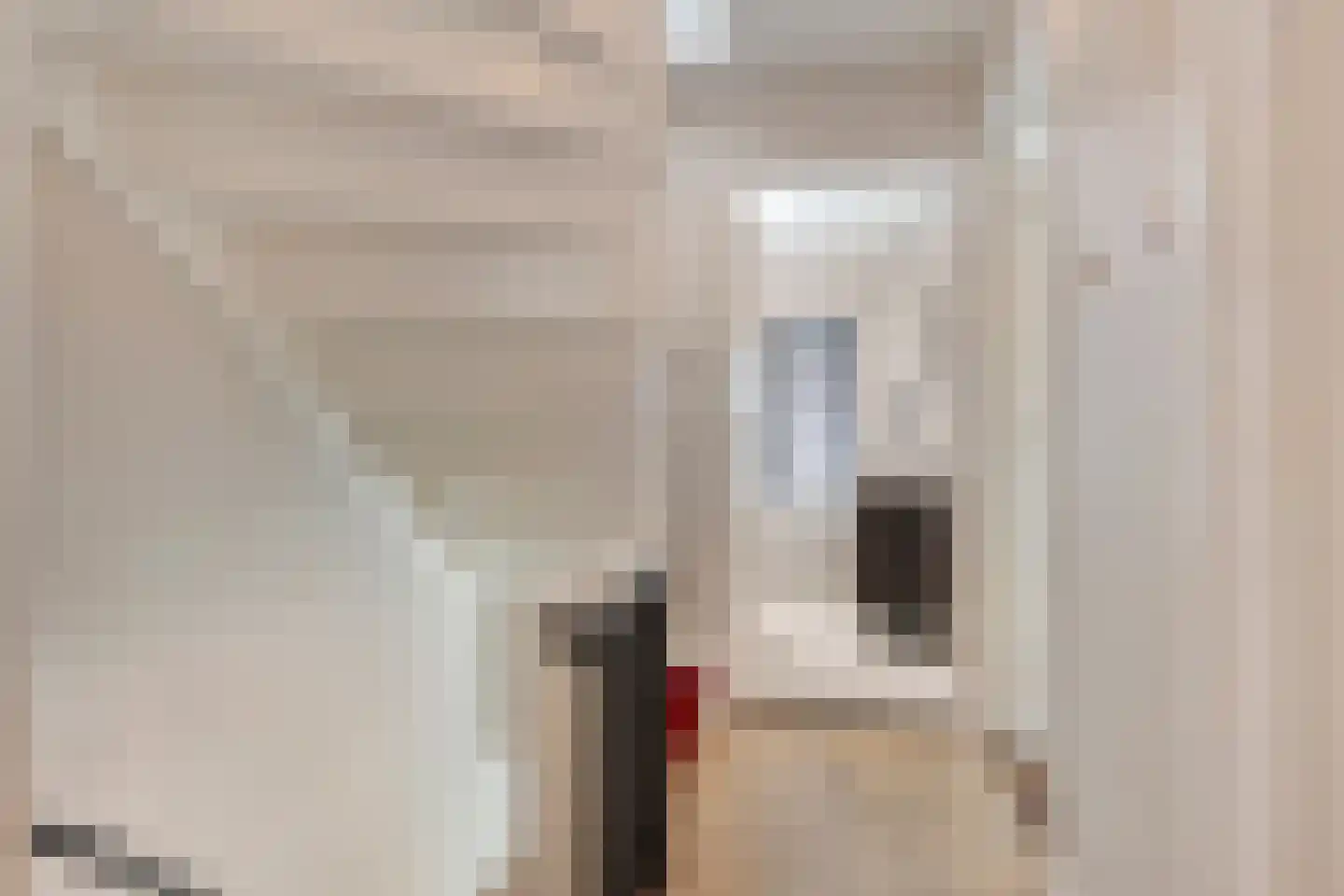 Leliestraat 99 Goes thumbnail 43