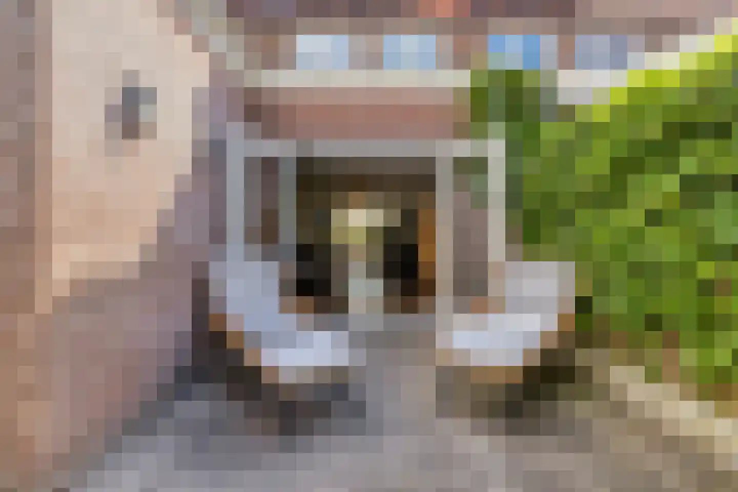 Leliestraat 99 Goes thumbnail 49