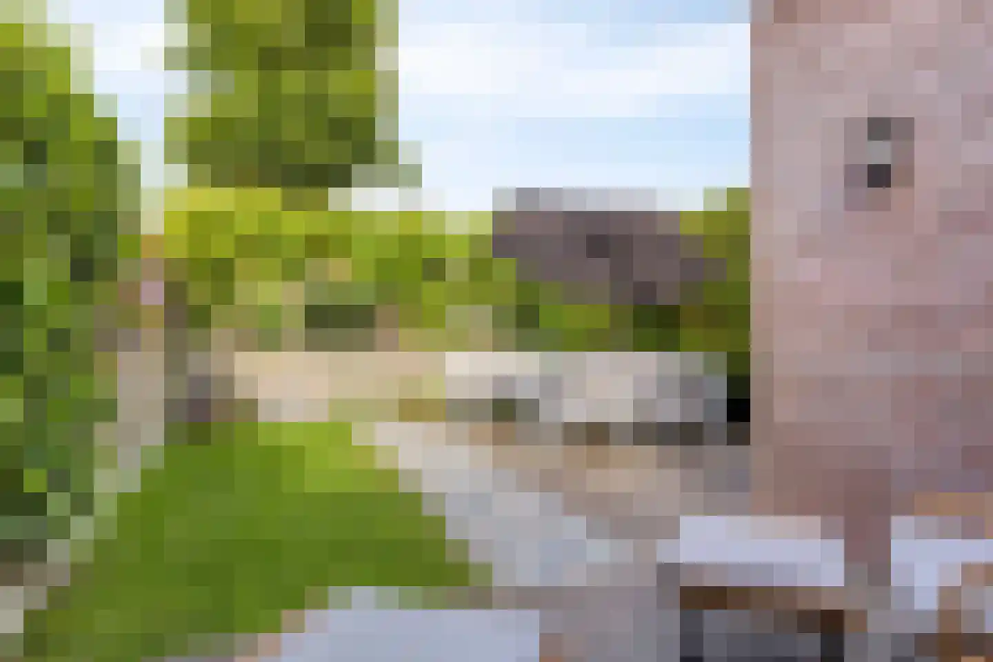 Leliestraat 99 Goes thumbnail 50