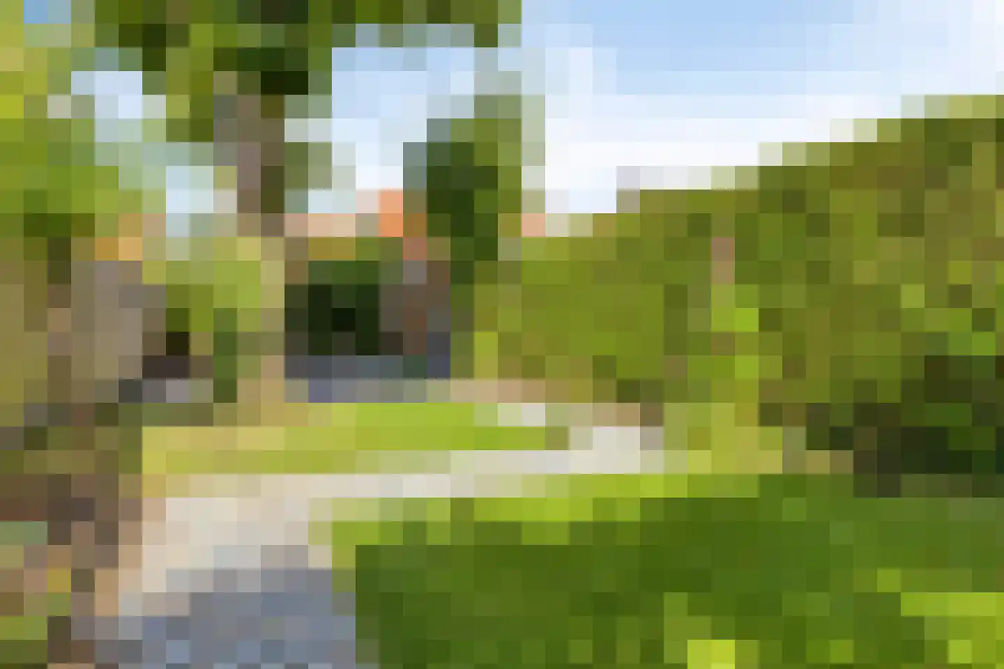 Leliestraat 99 Goes thumbnail 55