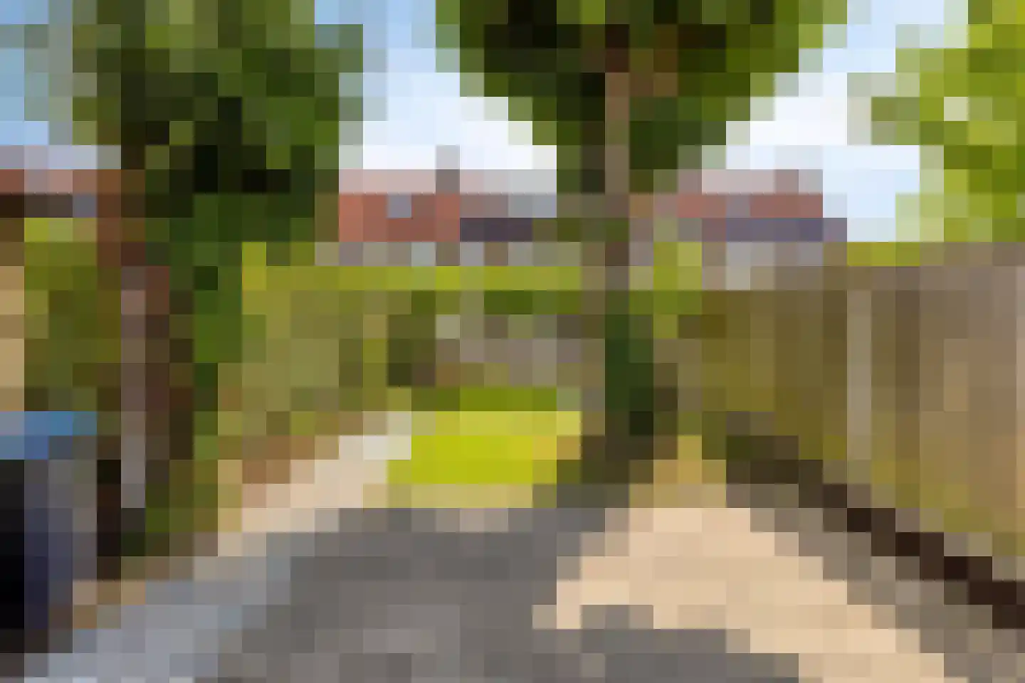 Leliestraat 99 Goes thumbnail 58