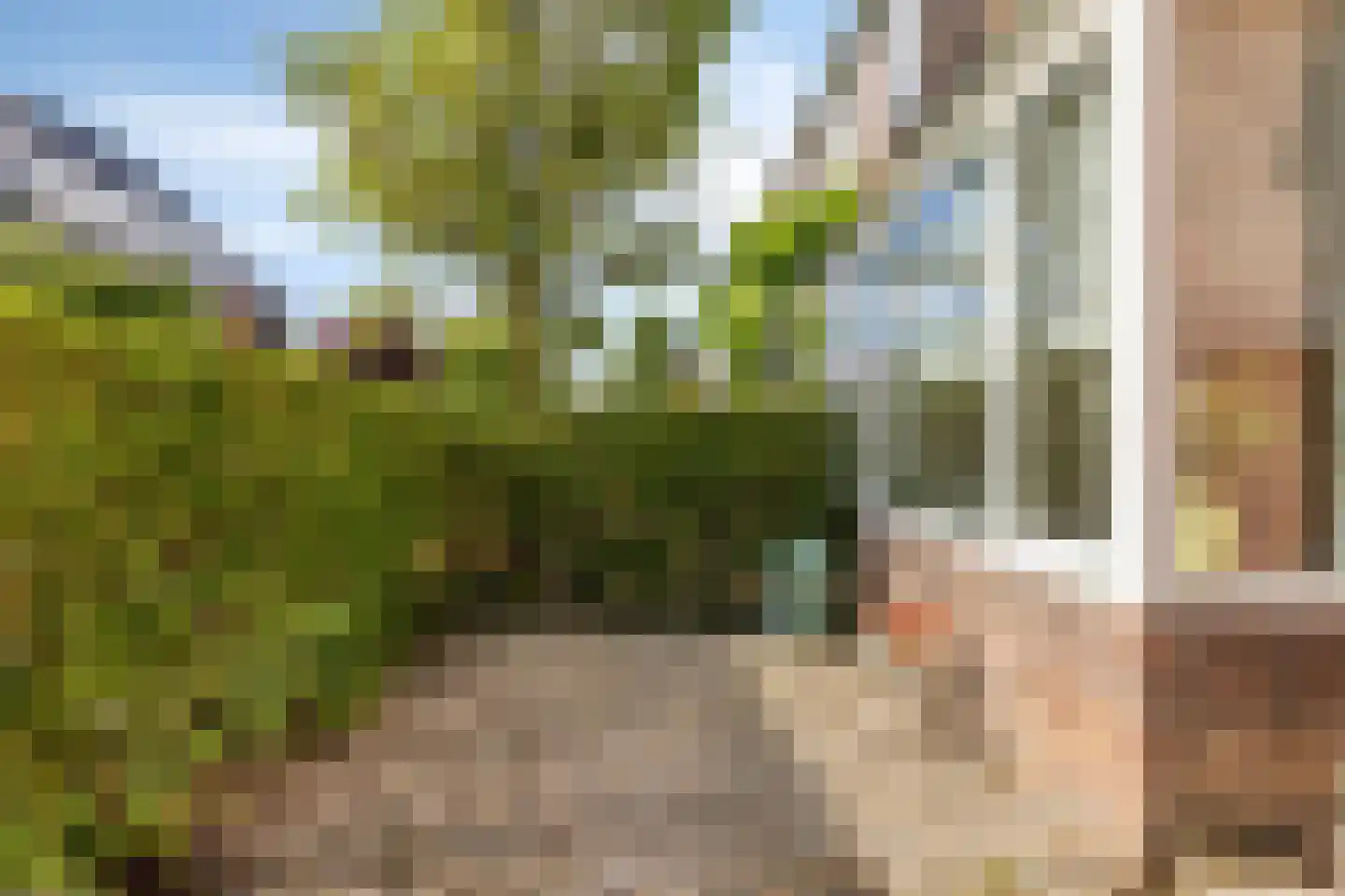 Leliestraat 99 Goes thumbnail 8
