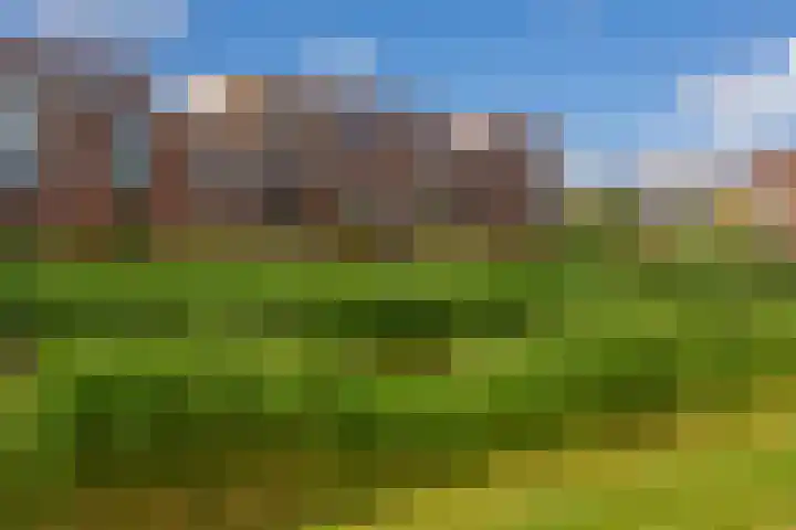 Lelietuin 3 Bergschenhoek thumbnail 10