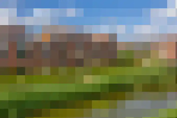 Lelietuin 3 Bergschenhoek thumbnail 11