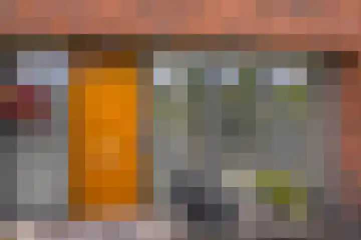 Lelietuin 3 Bergschenhoek thumbnail 12