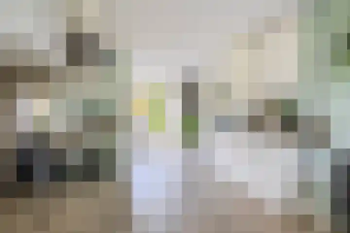 Lelietuin 3 Bergschenhoek thumbnail 15