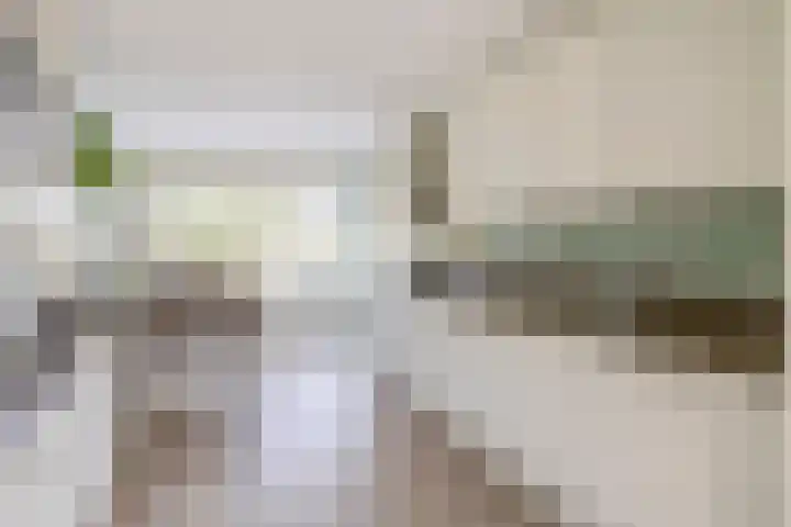 Lelietuin 3 Bergschenhoek thumbnail 16