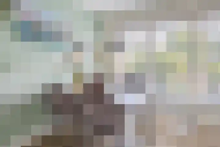 Lelietuin 3 Bergschenhoek thumbnail 17