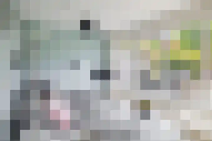 Lelietuin 3 Bergschenhoek thumbnail 20