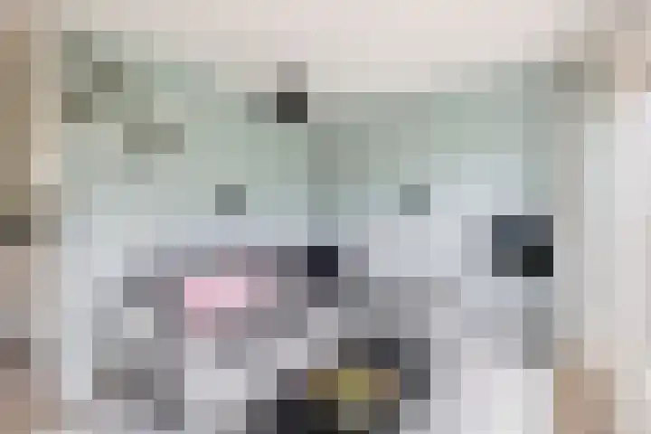 Lelietuin 3 Bergschenhoek thumbnail 22