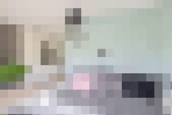 Lelietuin 3 Bergschenhoek thumbnail 23
