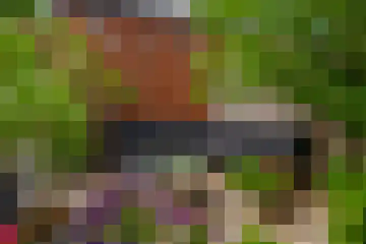 Lelietuin 3 Bergschenhoek thumbnail 27