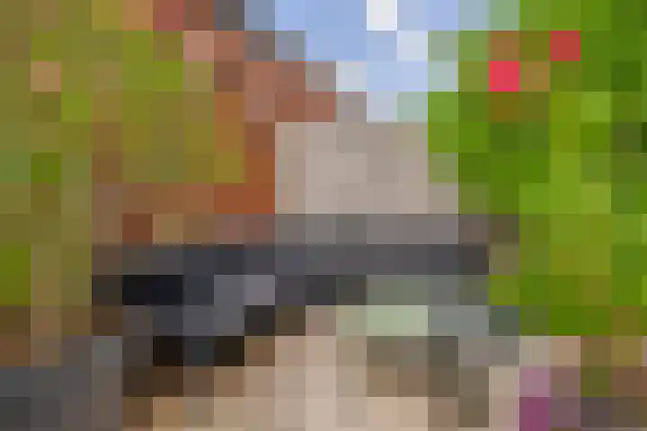 Lelietuin 3 Bergschenhoek thumbnail 28